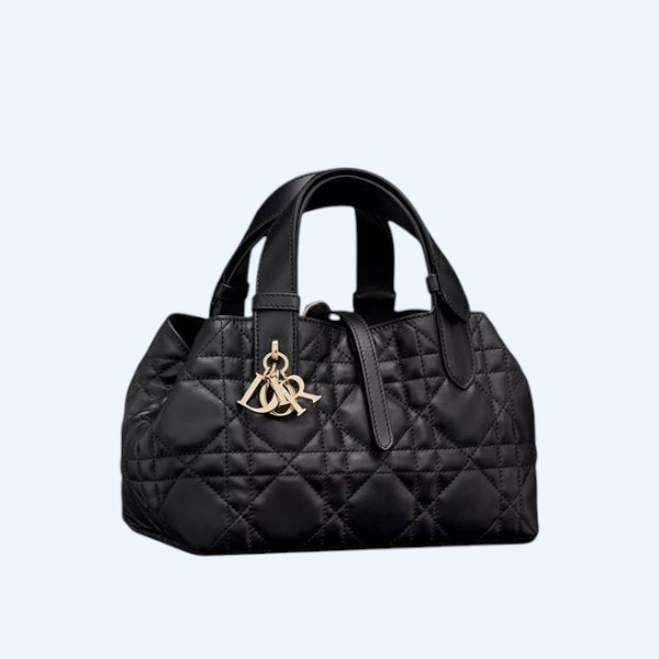 Dior Toujours 스몰 백