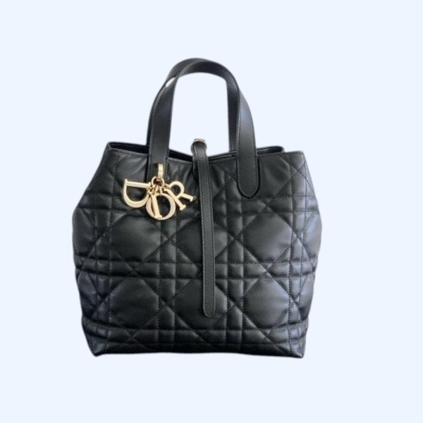 [ Dior ] 디올 Toujours 미디엄 백