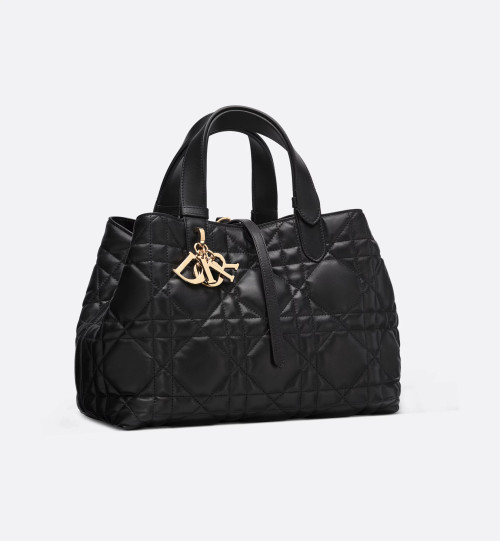 Dior Toujours 미디엄 백