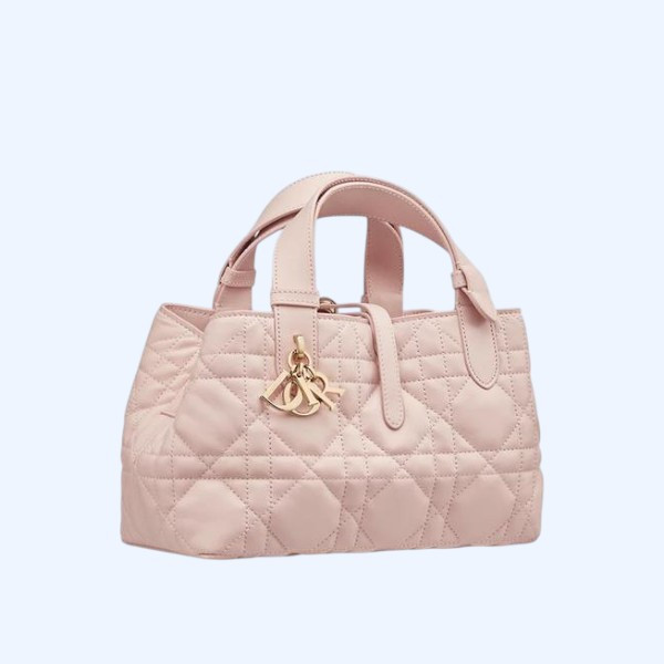 Dior Toujours 스몰 백