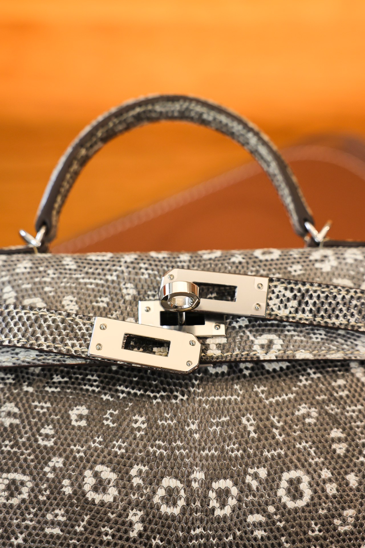 modal image 13