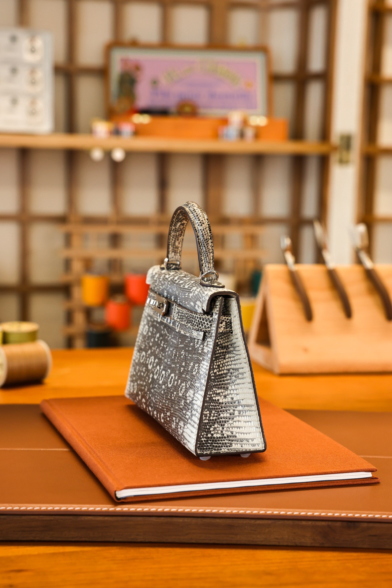 modal image 12