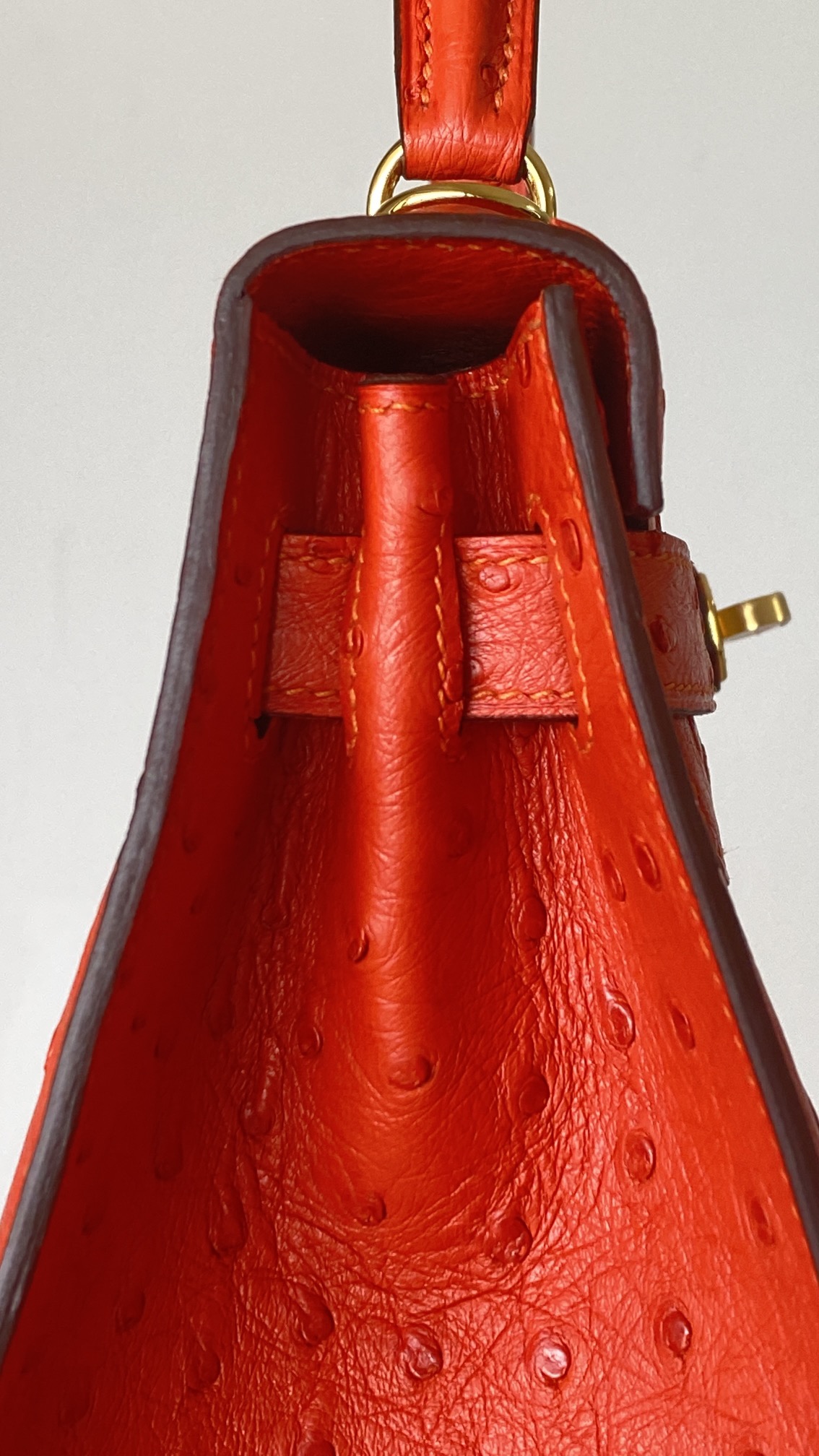 modal image 19
