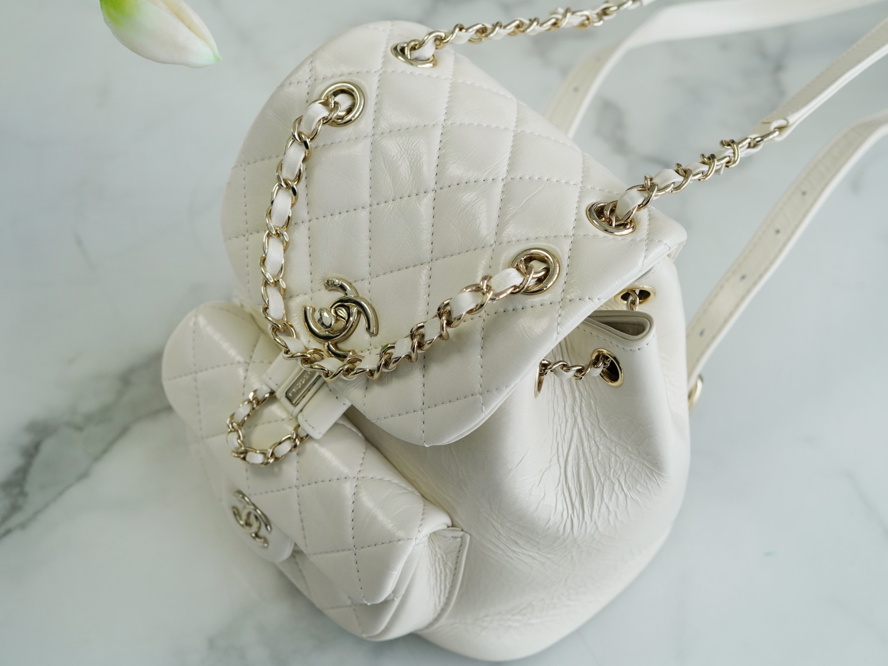 modal image 14