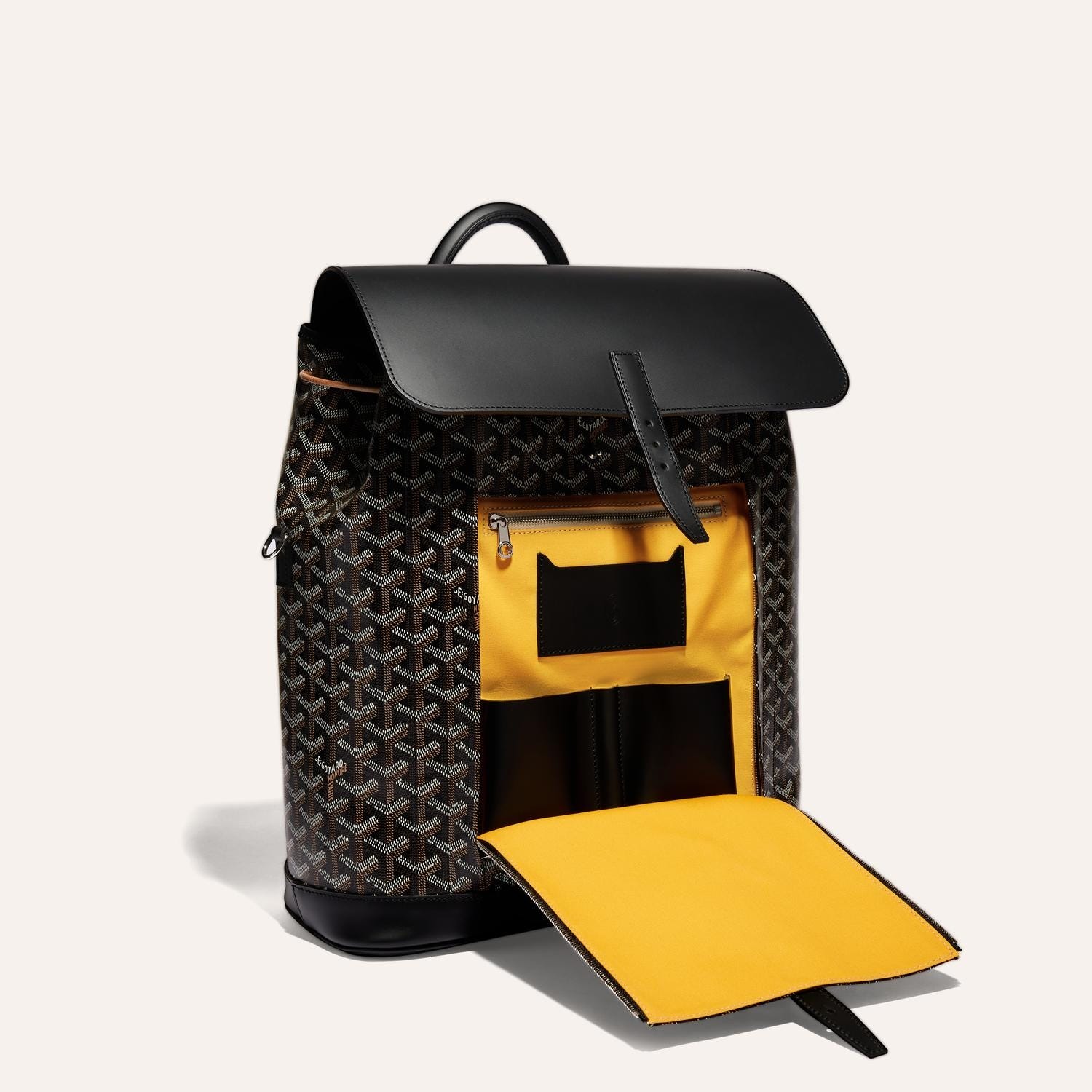 modal image 5