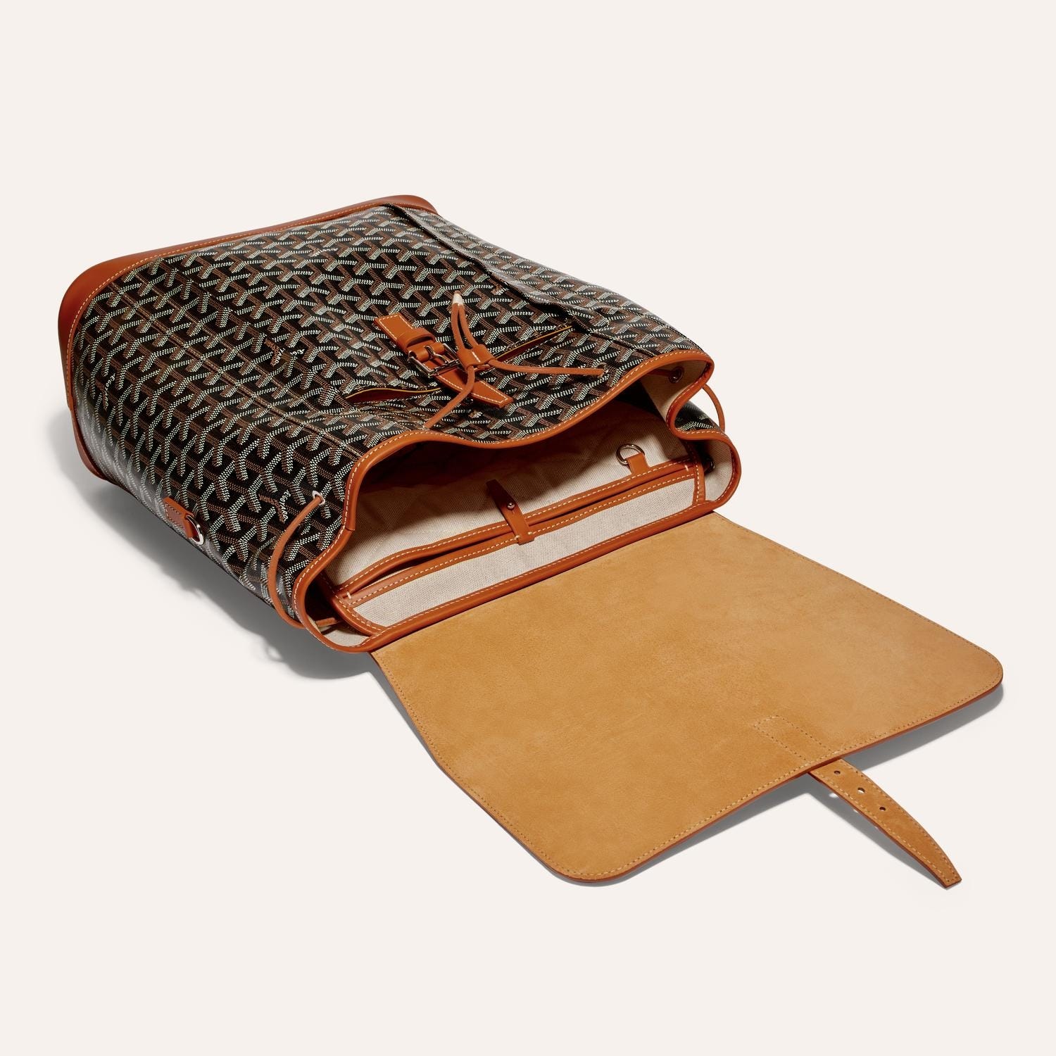 modal image 6