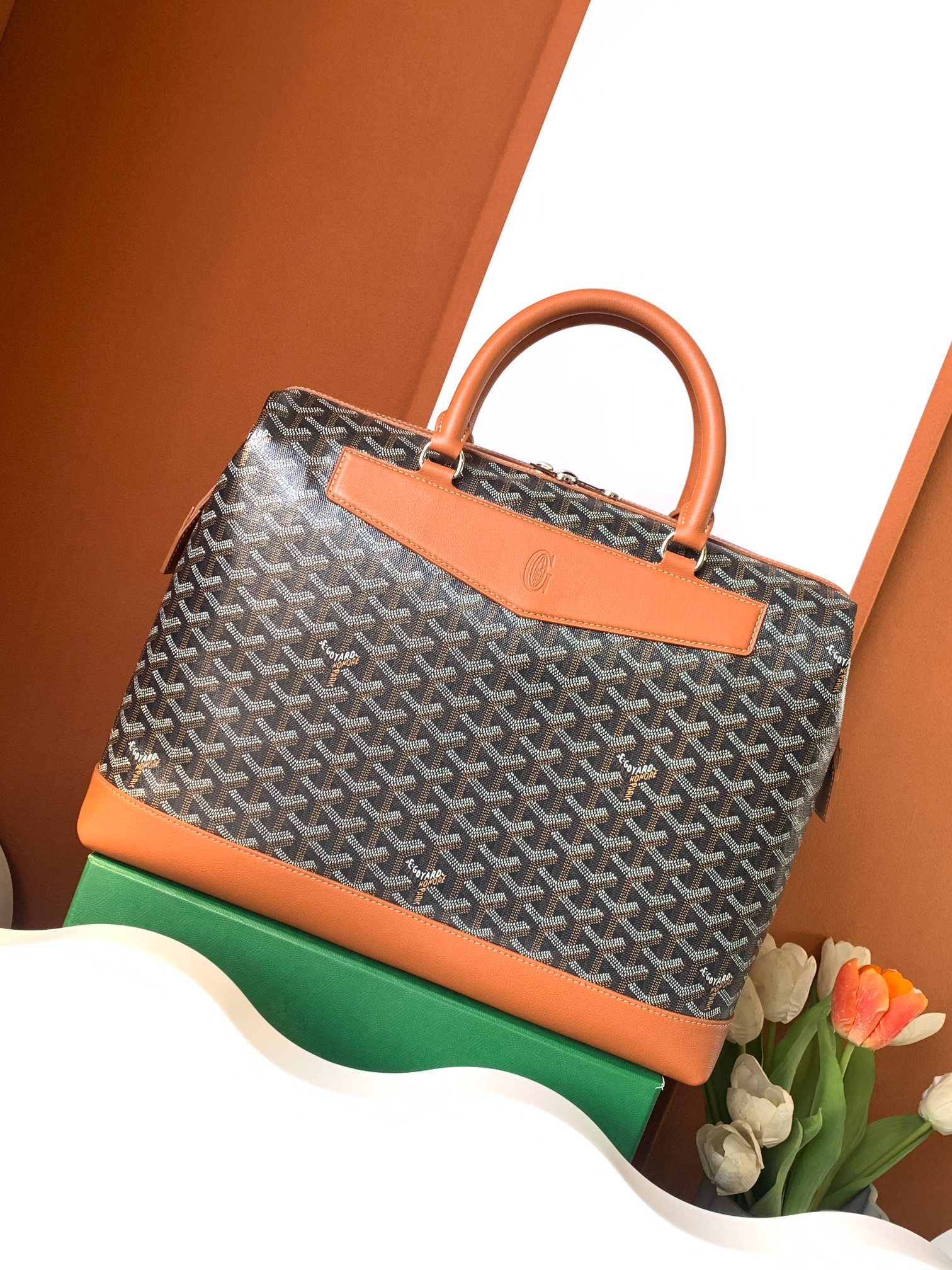 modal image 6