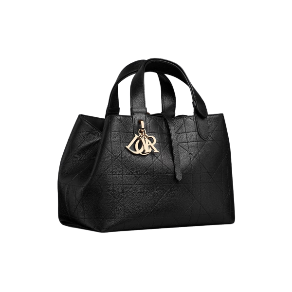 Dior Toujours 미디엄 백
