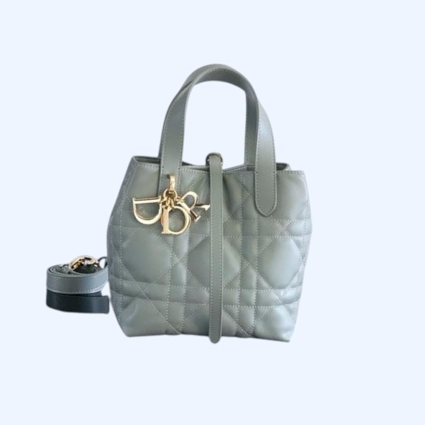 [ Dior ] 디올 Toujours 스몰 백