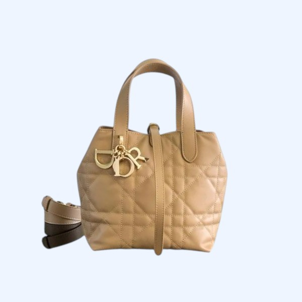 [ Dior ] 디올 Toujours 스몰 백