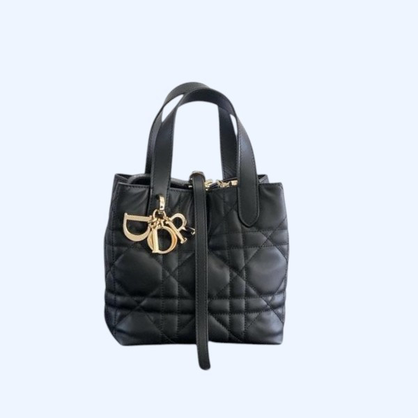 [ Dior ] 디올 Toujours 스몰 백