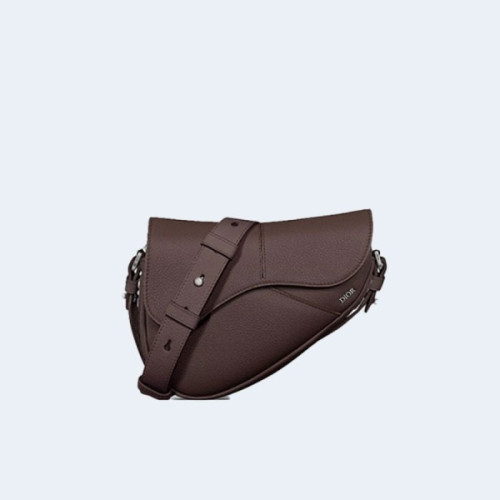 디올 Saddle 미니백