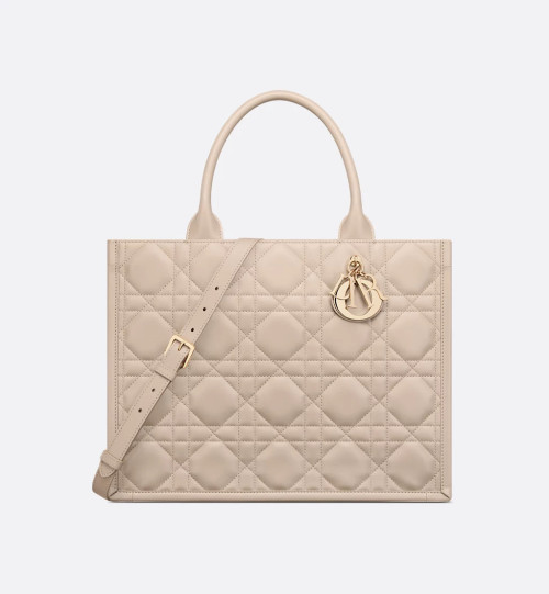Dior Book Tote 미디엄 백