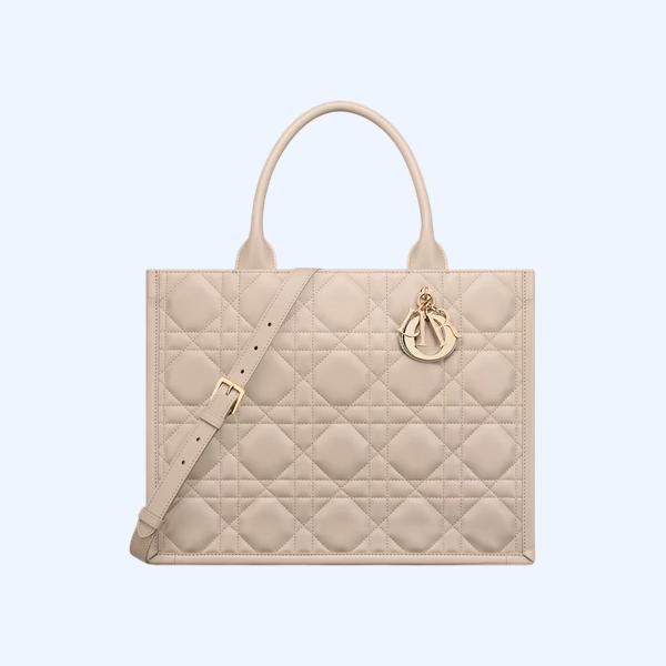 Dior Book Tote 미디엄 백