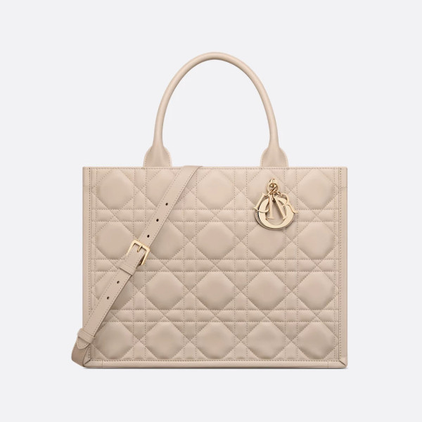 Dior Book Tote 미디엄 백