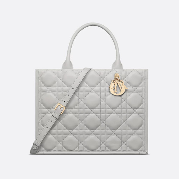 Dior Book Tote 미디엄 백