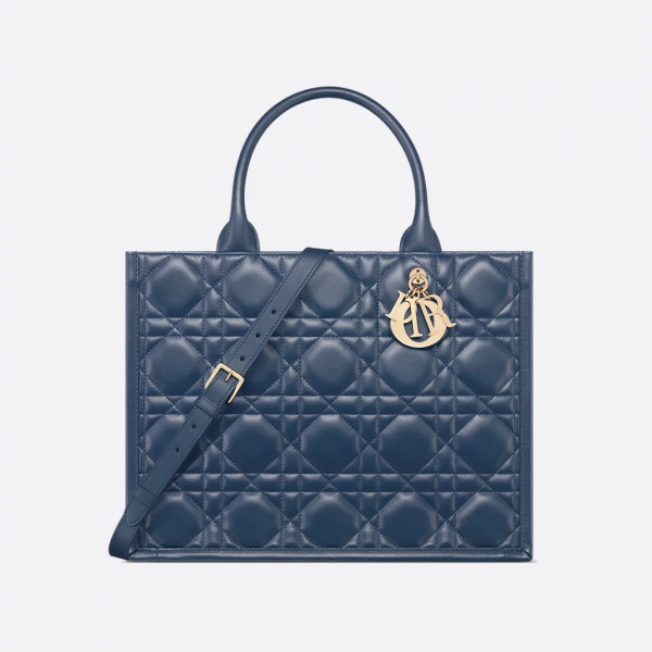 Dior Book Tote 미디엄 백
