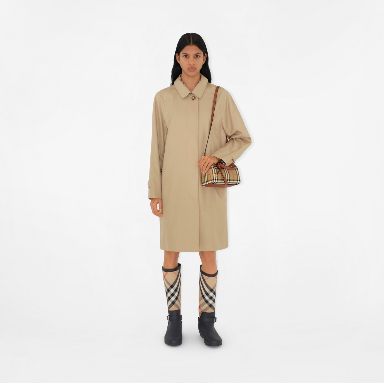 modal image 6