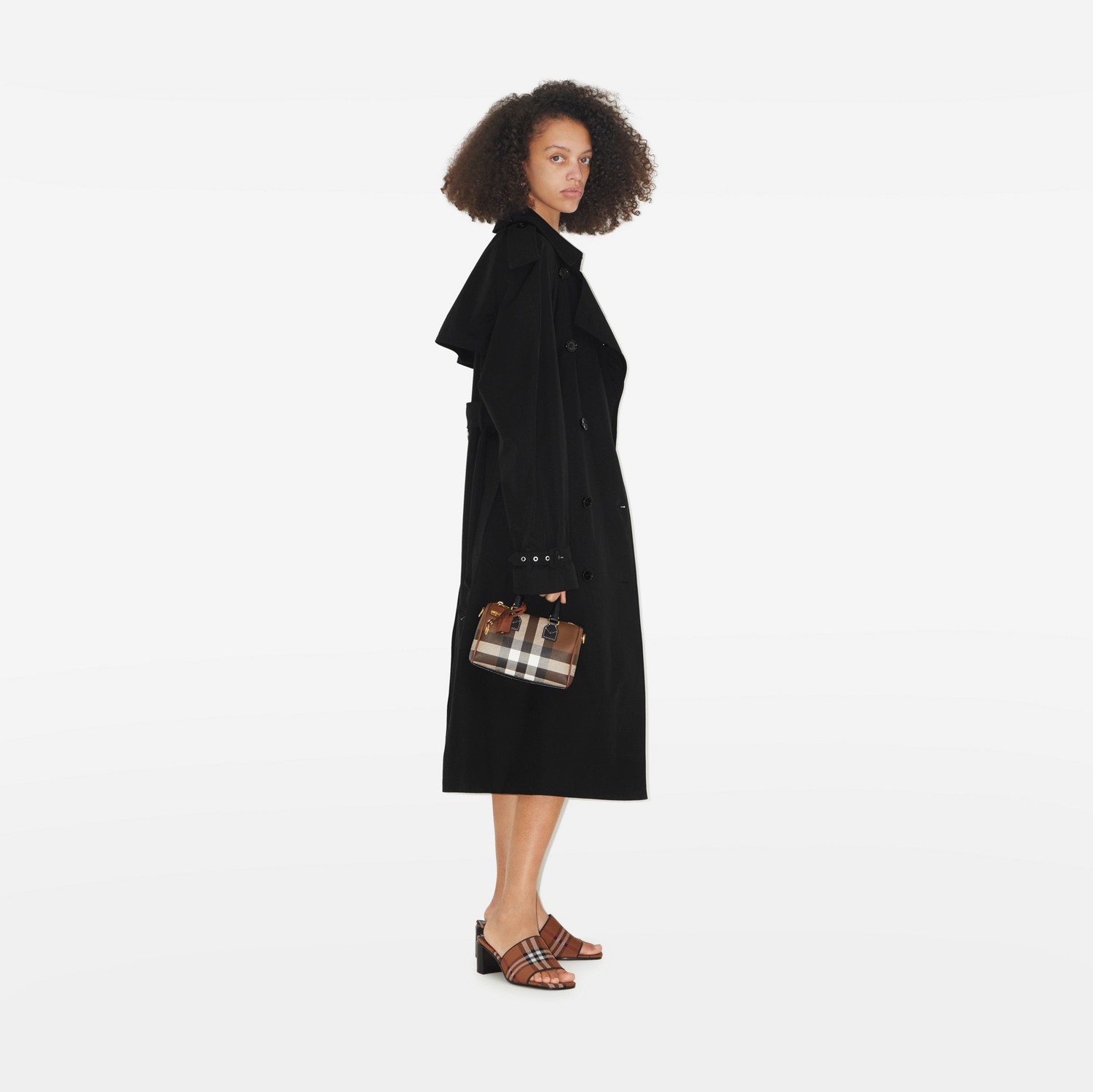 modal image 6