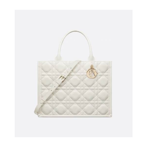 Dior Book Tote 미디엄 백