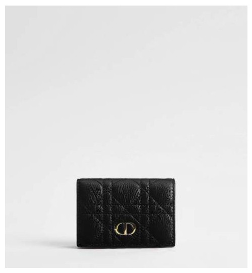 Dior Caro Glycine 지갑